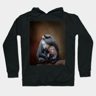 De Brazza's Monkey Babysitting Hoodie